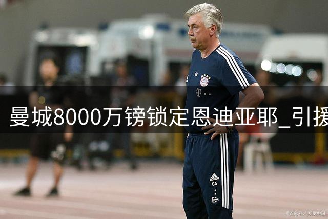 曼城8000万镑锁定恩迪亚耶 引援连锁反应波及加克波